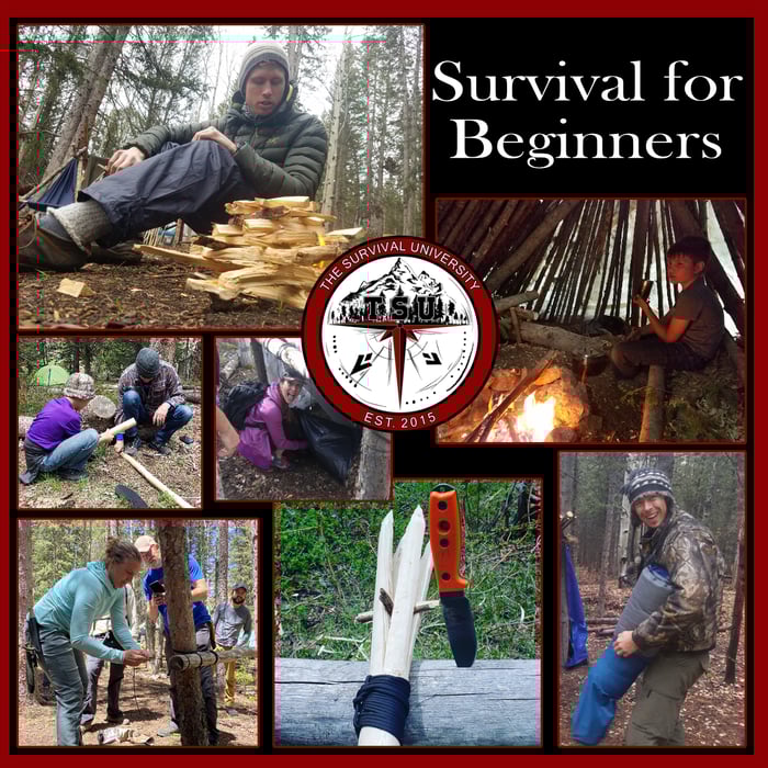 2 DAY SURVIVAL FOR BEGINNERS image
